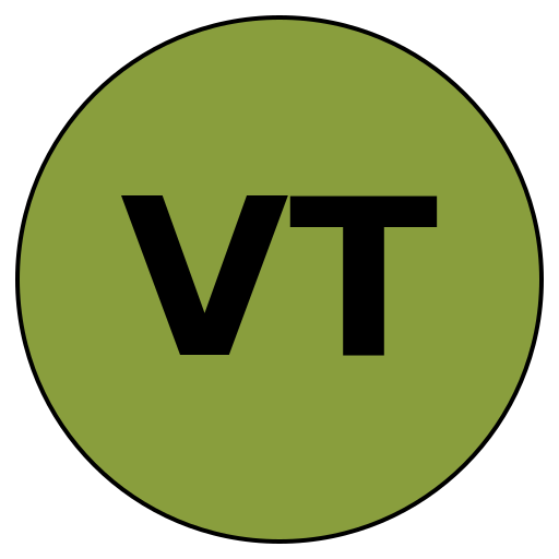 ValueTravel
